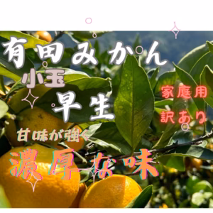 有田みかん　みかん 早生　サイズ3Sから4S 訳あり　和歌山県有田産