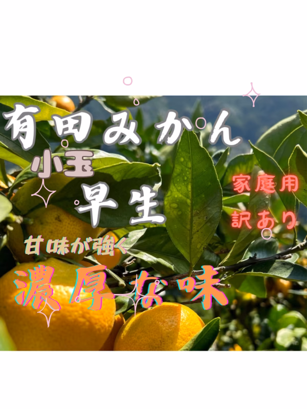 有田みかん　みかん 早生　サイズ3Sから4S 訳あり　和歌山県有田産