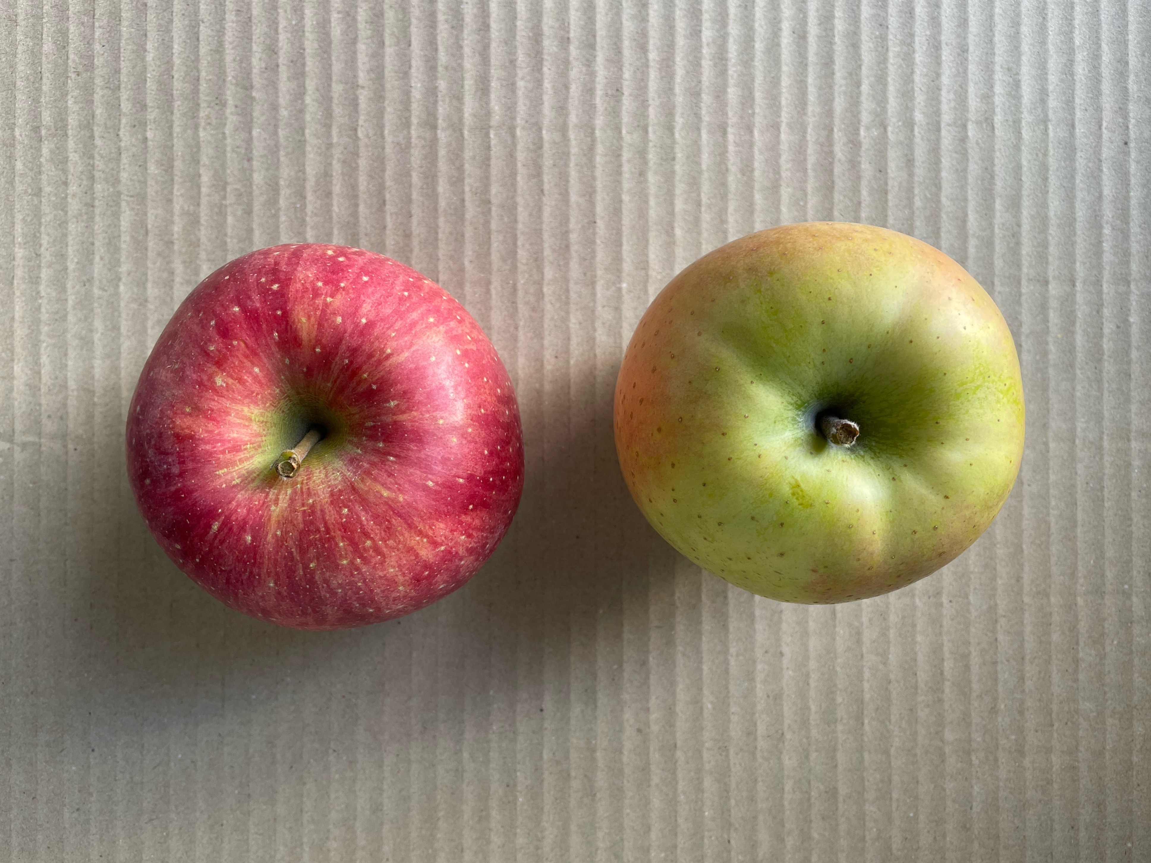 特選サンふじ　10キロ　長野県産　減農薬　化学肥料不使用　わんぱくりんご
