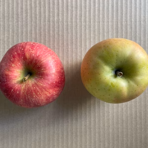 サンふじ 王林 食べ比べセット