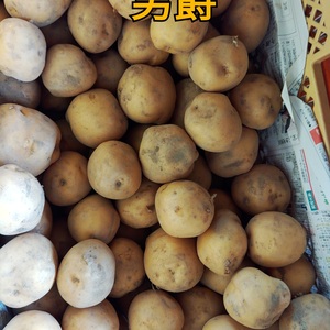 じゃが芋・男爵