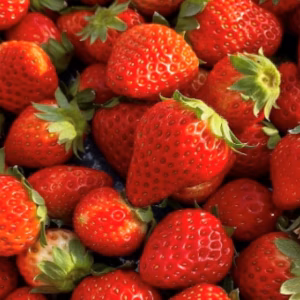 【高品質】いちご・紅ほっぺ  約1,200g（約300g×4パック）