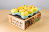 【希少品種】「きみと」約3kg　訳アリ家庭用りんご