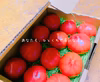 【人気商品‼︎】フルーツトマト