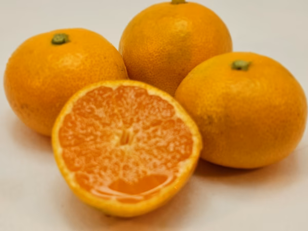 限定スーパー小ぶりサイズ（美味しさのサイン点灯）