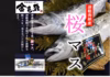 【本数限定❗】津軽海峡産　サクラマス一本まんまお届け❗