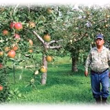 葛西喜代作 | 有限会社ケイエス青果