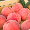 [2026年予約限定]ファン続出の果肉しっかり桃！ たけだ農園完熟もも　おどろき