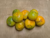少量限定　緑色が残る甘酸っぱい極早生みかん（お徳用　訳あり）