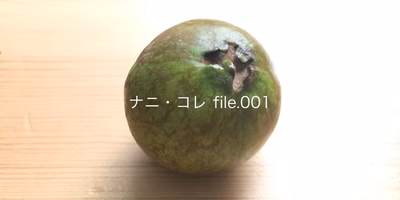 ナニ・コレ file.001｜沖縄の「きばんじろう」を買ってみた！