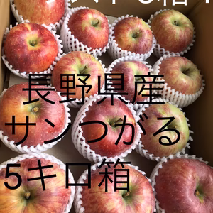 信州産サンつがる5キロ