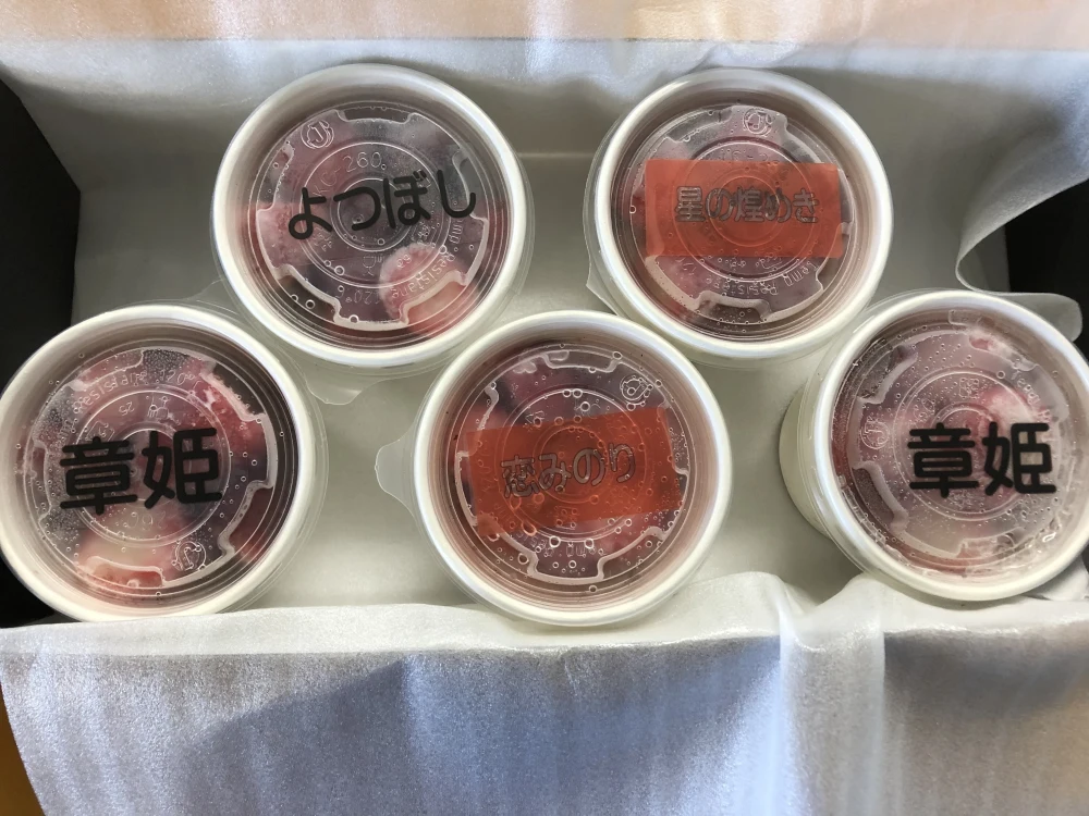 冷凍イチゴカップ（5個入＋練乳チューブ１本付き）