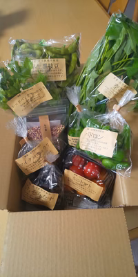 みんなの投稿の画像