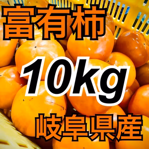 甘さたっぷり‼️岐阜県糸貫産富有柿10kg詰め合わせ⭐️産地直送