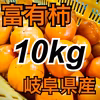 甘さたっぷり‼️岐阜県糸貫産富有柿10kg詰め合わせ⭐️産地直送