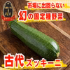 【農薬不使用・化学肥料不使用】厚切りステーキで味わう☆古代ズッキー二【6月上旬予
