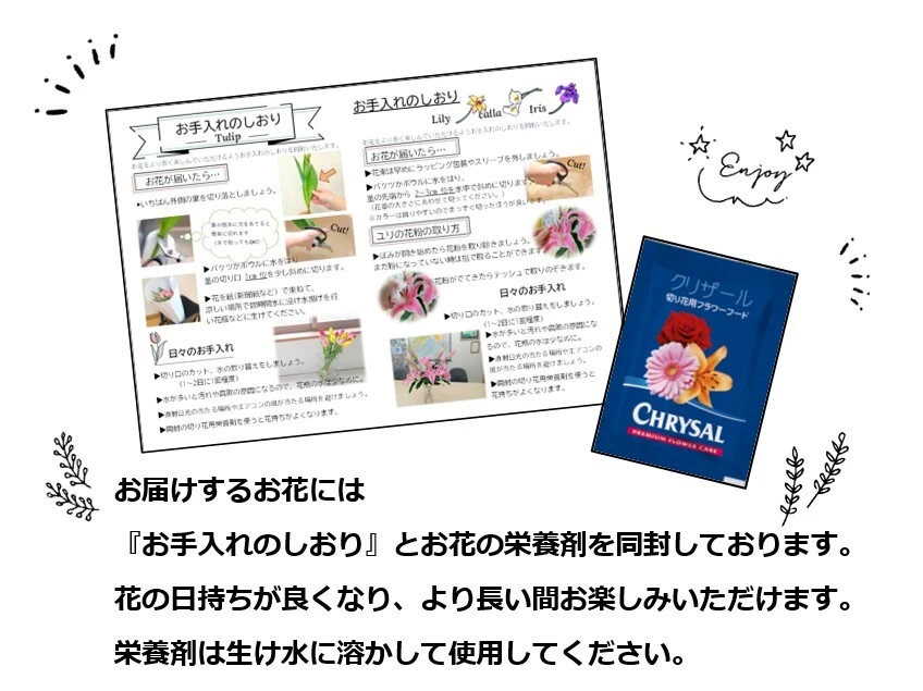 【予約販売】6月中旬以降発送　新潟県産　カラー切り花　