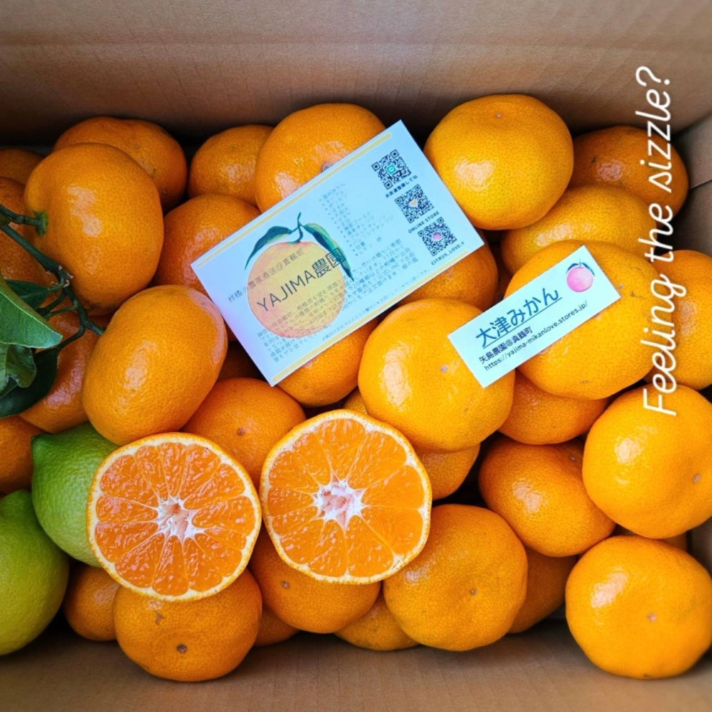 滋味溢れる大津みかん】甘味と酸味のバランスで濃厚☆＋レモン2個