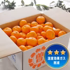 低農薬栽培 温州みかん10kg