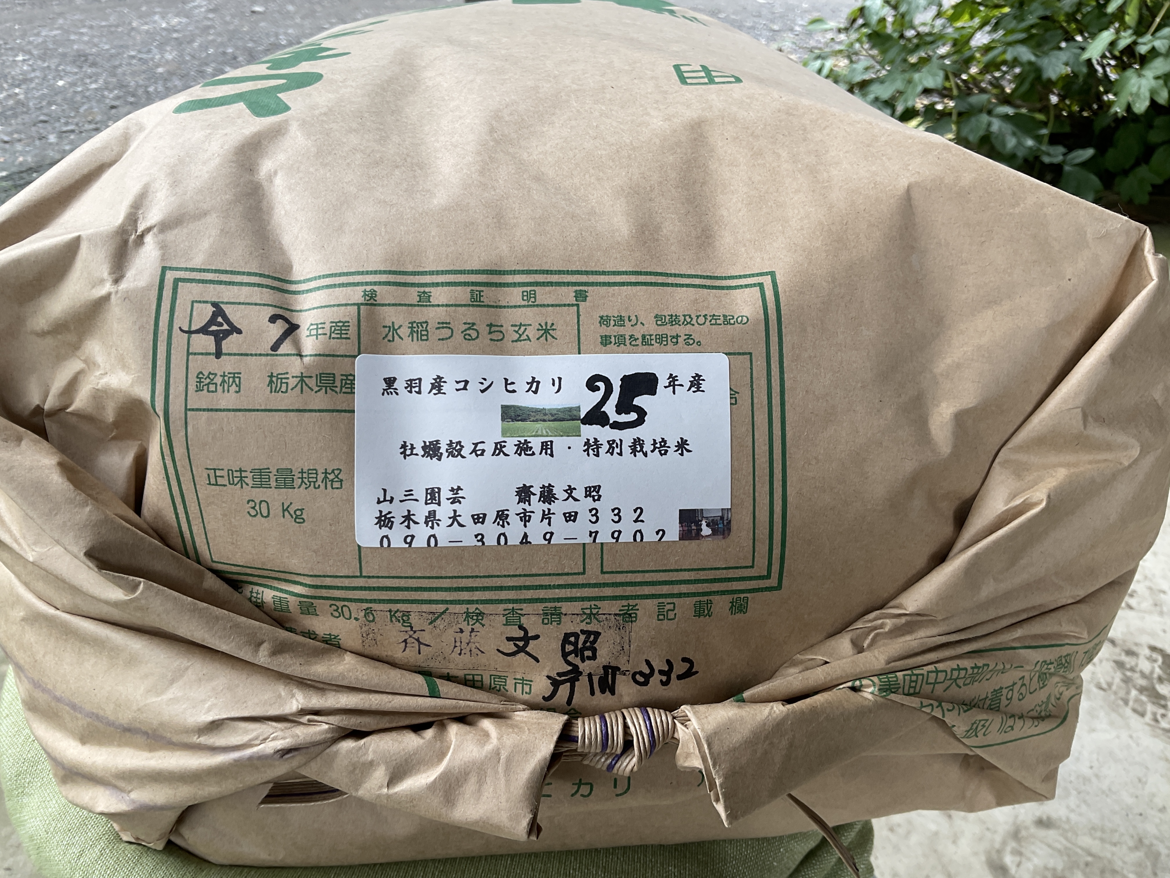 2025年産)黒羽産コシヒカリ｜米・穀類の商品詳細｜ポケットマルシェ