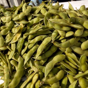 【石巻産】黒五葉枝豆1㎏