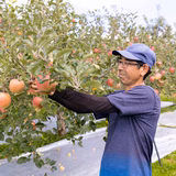 藤村和久 | 藤与果樹園