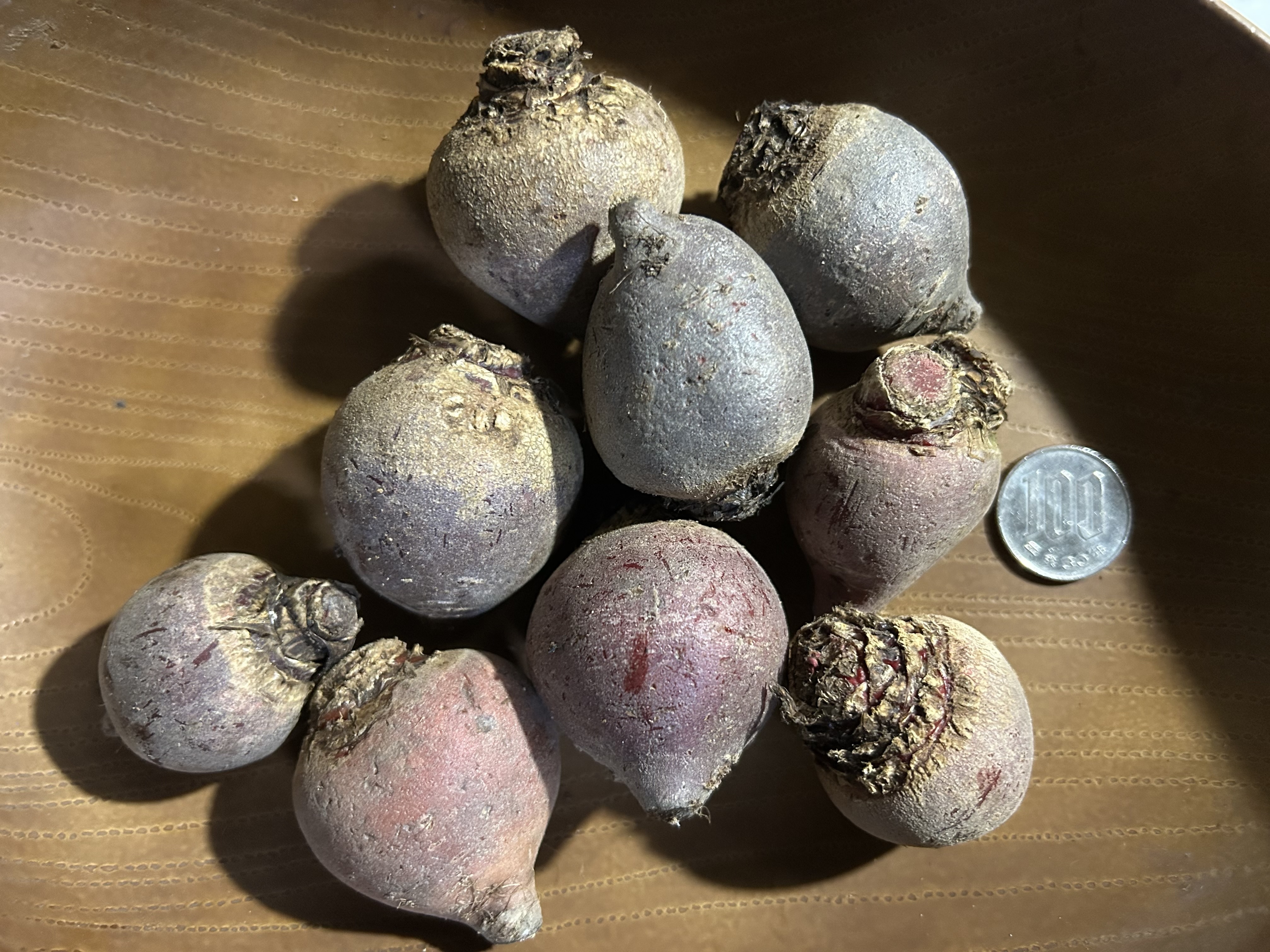 ビーツの通販・お取り寄せ商品｜野菜｜ポケットマルシェ｜産地