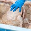 移転記念割引実施中！【新しくなった最上鴨】切り出し肉 むね・もも スライス