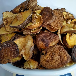 大容量500g！ 原木干ししいたけ [ウス葉 サイズ中]