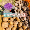 お試しセット！じゃがいもセット！農薬、化成肥料不使用　1kg