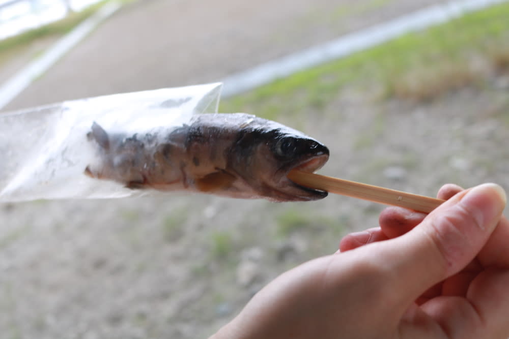 ヤマメを焼けばそこが清流。東京湾河口で阿蘇の旅をたしなんできた | 農家漁師から産地直送の通販 ポケットマルシェ