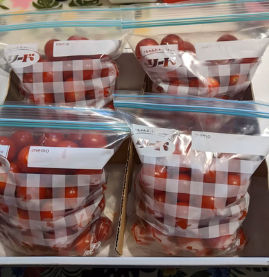 みんなの投稿の画像