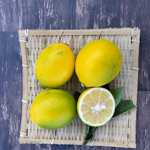 皮までバリバリ食べれるレモン