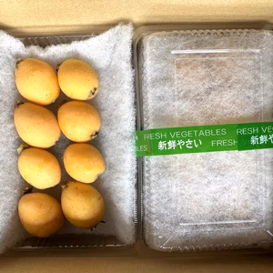 【初夏の味覚】大澤農園の枇杷(4パック 32個)