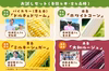 【7・8月に全4回】注目のコーンを4色網羅！「欲張りとうもろこしの定期便」