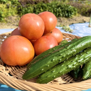 【農家のレシピ付き】たくろー君家の【キュリトマ】セット