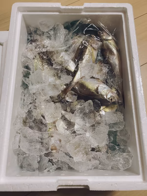 みんなの投稿の画像