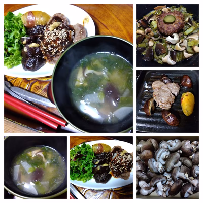 みんなの投稿の画像