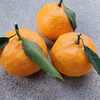甘いはやか☆早香☆御浜町阿田和産☆ポンカン×温州みかん☆南紀みかん