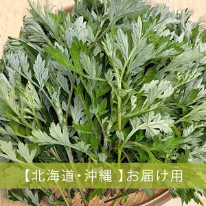 配送地域指定あり①【奈良県産】柔らか春よもぎ／無農薬・化学肥料不使用