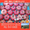 【米崎りんご】訳ありサンふじ　5㎏【希少な三陸産】