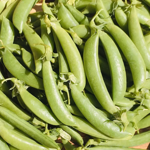 ＊期間限定＊　甘いスナップエンドウ　【約1.8kg】