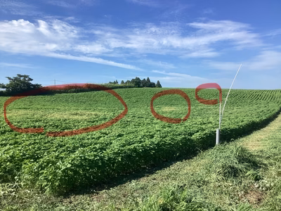 みんなの投稿の画像