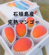 【全国送料無料‼7月より順次発送】石垣島 極甘マンゴー2k以上（4～6玉入）