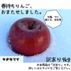 【訳あり】【春待ちりんご9kg】可愛いサイズ