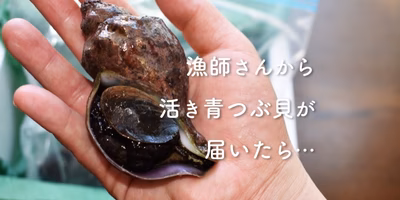 生きてる青つぶ貝、見たことある？家庭での簡単さばき方と絶品食べ方をご紹介♪