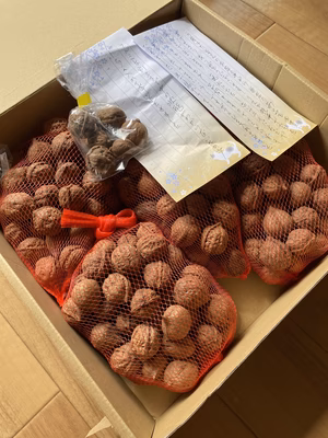 みんなの投稿の画像