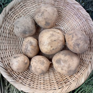 農薬・化学肥料・動物性堆肥不使用じゃがいも食べ比べセット