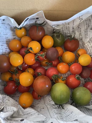 みんなの投稿の画像