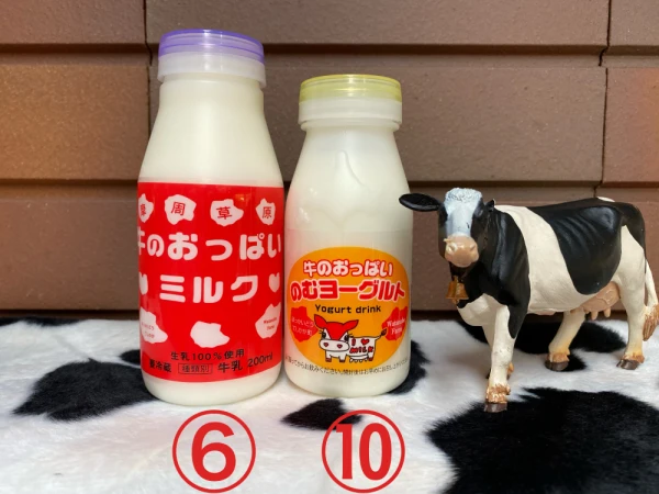 牛のおっぱいミルク6本、のむヨーグルト10本セット